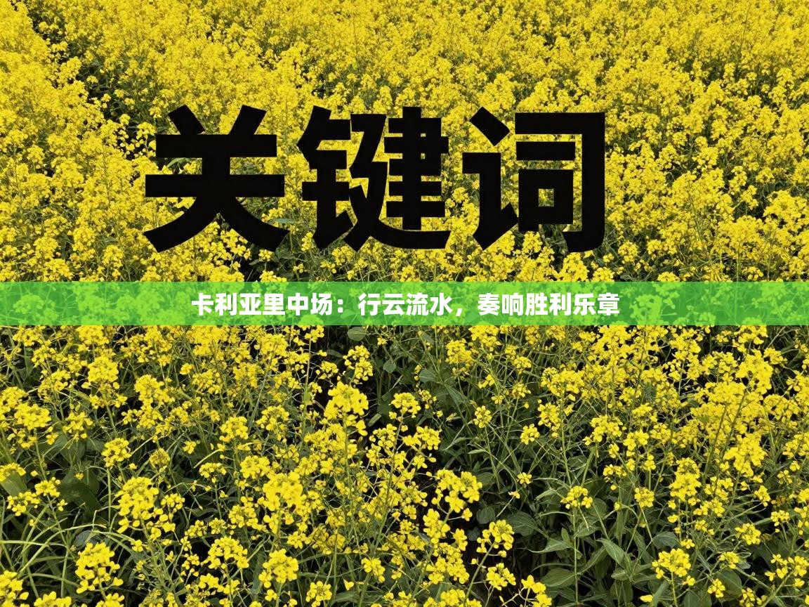 卡利亚里中场：行云流水，奏响胜利乐章  第1张