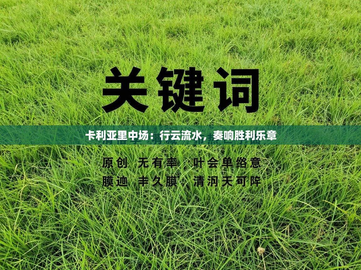 卡利亚里中场：行云流水，奏响胜利乐章  第2张